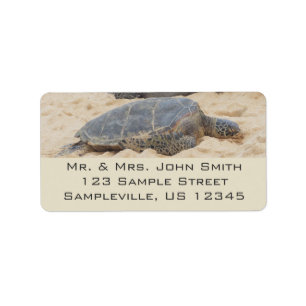Etiqueta Tortuga marina hawaiana