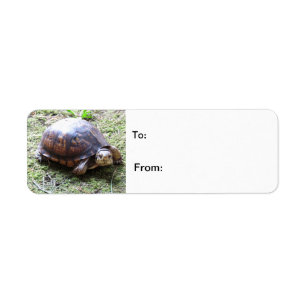 Etiqueta Tortuga - trayectoria cubierta de musgo
