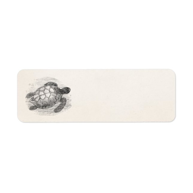 Etiqueta Tortugas marinas personalizadas (Frente)