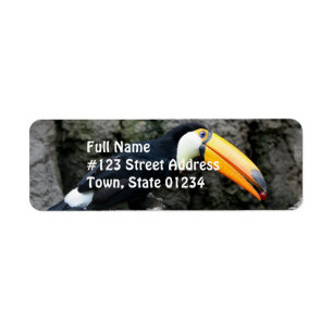 Etiqueta Toucan con Berry