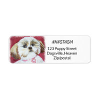 TOY SHIH TZU MIX