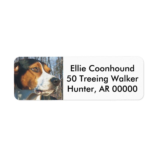 Etiqueta Treeing Walker Coonhound (Frente)