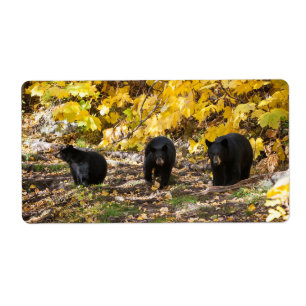 Etiqueta Tres Baños