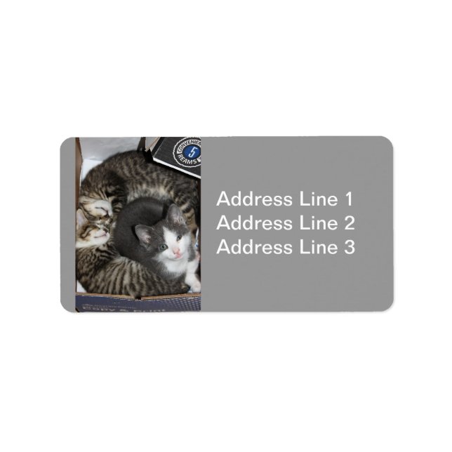 Etiqueta Tres Pequeños Rótulos De Gatitos (Frente)