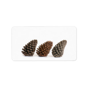 Etiqueta Tres pinecones