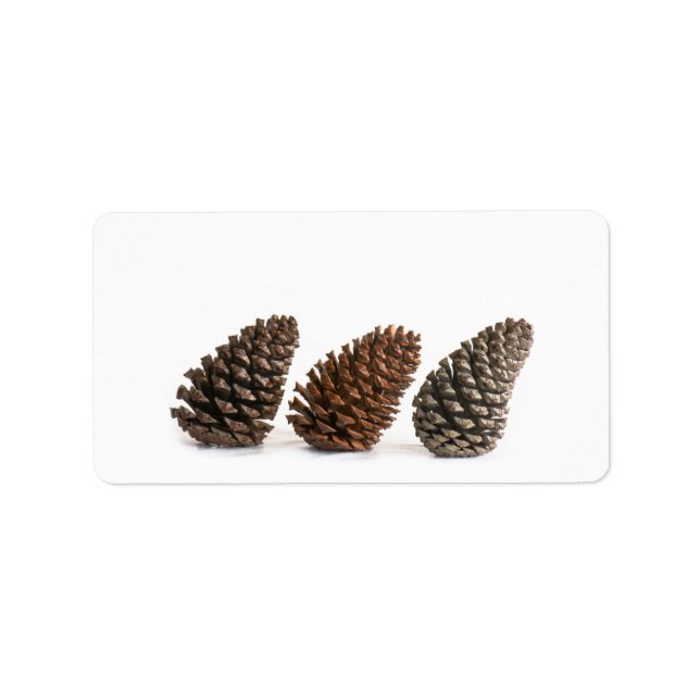 Etiqueta Tres pinecones (Frente)