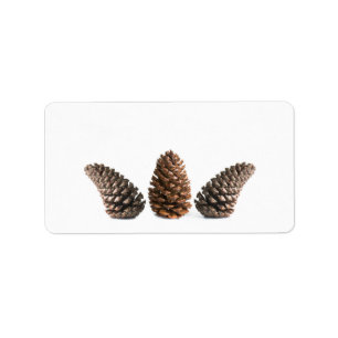 Etiqueta Tres pinecones