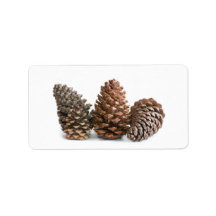 Etiqueta Tres pinecones