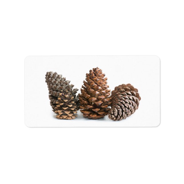 Etiqueta Tres pinecones (Frente)