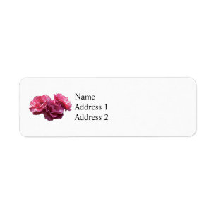 Etiqueta Trío de Rosas Rosadas