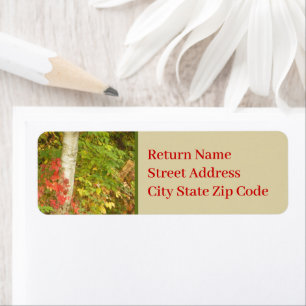 Etiqueta Trunk de árbol de birch