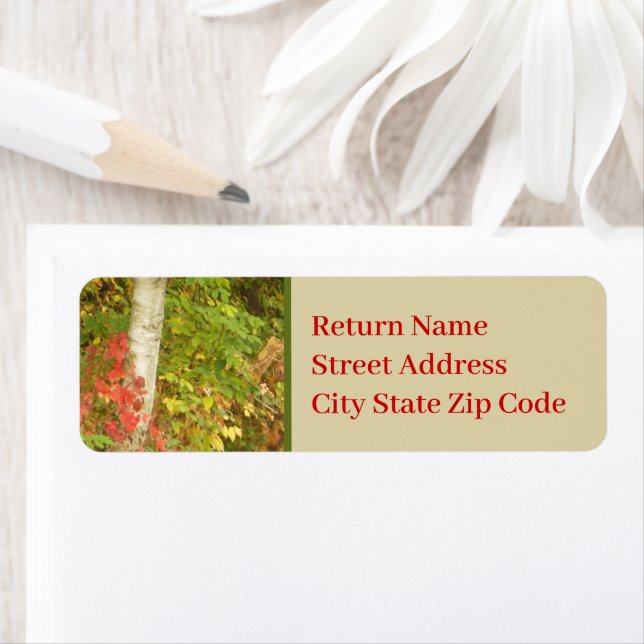 Etiqueta Trunk de árbol de birch (In situ)