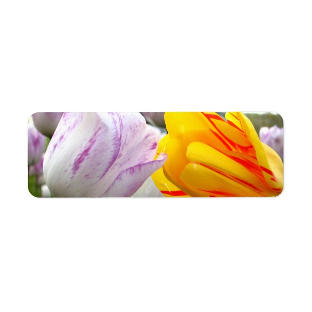 Etiqueta Tulip Love (Frente)