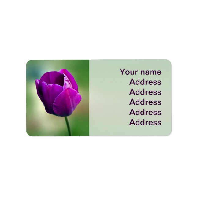 Etiqueta Tulip púrpura (Frente)