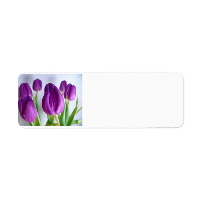 Etiqueta Tulip púrpura (Frente)