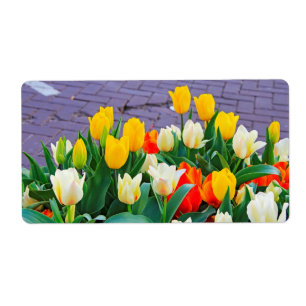 Etiqueta Tulipán
