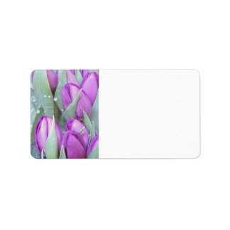 Etiqueta Tulipanes morados
