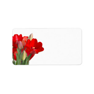 Etiqueta Tulipanos