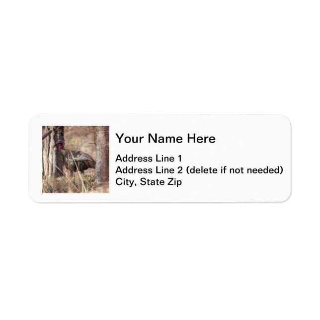 Etiqueta Turquía salvaje (Frente)