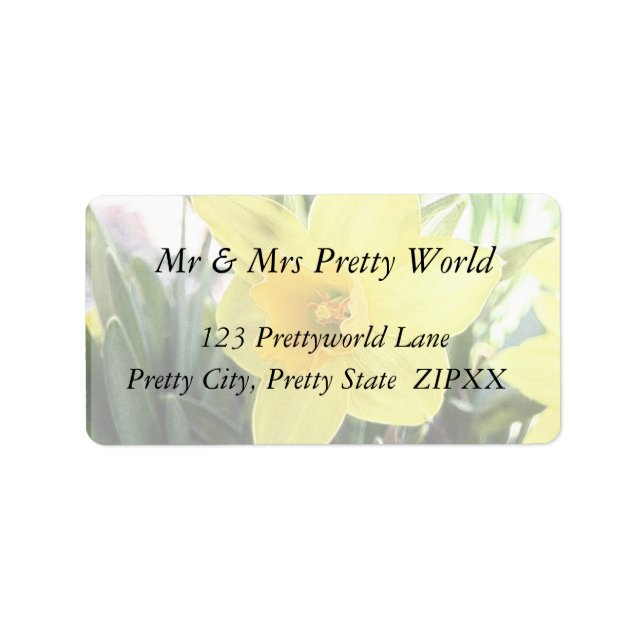 Etiqueta Un Alegre Daffodil Amarillo (Frente)