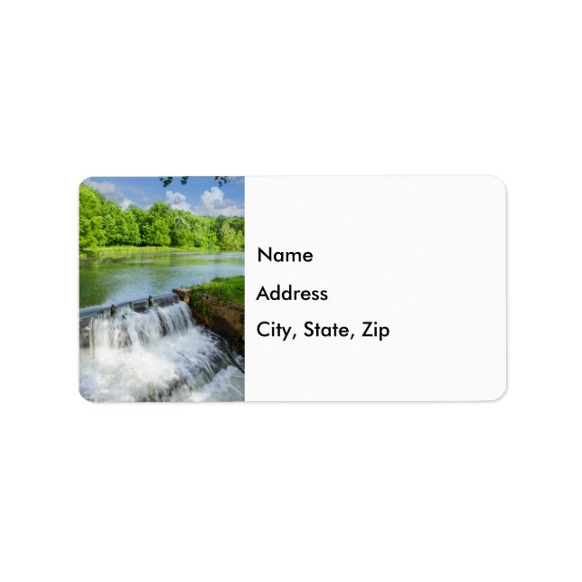 Etiqueta Un Día En Ritter Springs Label (Frente)