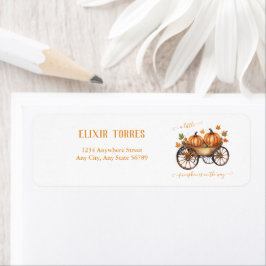 Etiqueta Un poco de calabaza cae el género neutro de Baby S