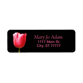 Etiqueta Un tulipán Rosa negro