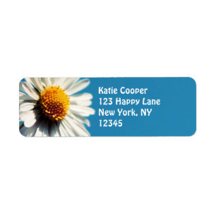 Etiqueta Una brillante margarita blanca bajo un gran cielo 