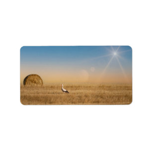 Etiqueta Una cigüeña blanca