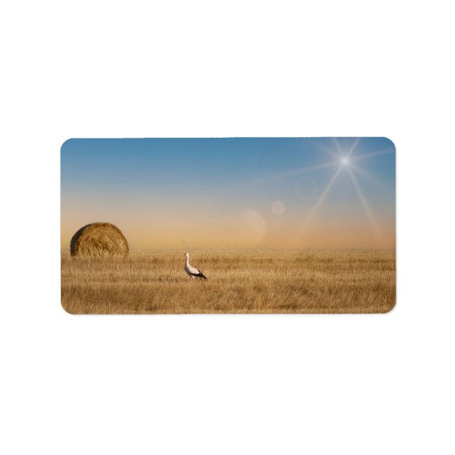 Etiqueta Una cigüeña blanca (Frente)