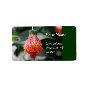 Etiqueta una flor colgante roja al revés