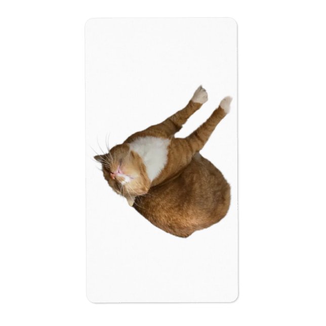 Etiqueta Upside-Down Sunshine (Frente)