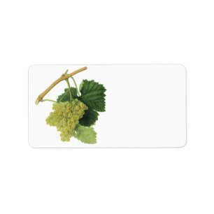 Etiqueta Uvas de vino blanco en el vino, fruta de la comida