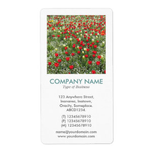 Etiqueta V Square Photo - Cama de Tulips