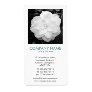 Etiqueta V Square Photo - Camelia blanca