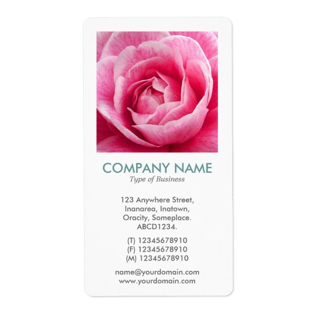 Etiqueta V Square Photo - Camelia rosa (Frente)