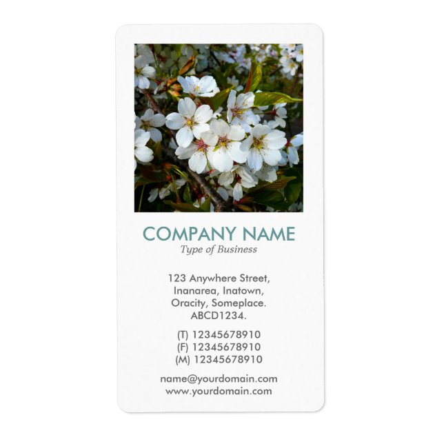 Etiqueta V Square Photo - Cherry Blossom (Frente)