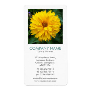Etiqueta V Square Photo - Chrysanthemum