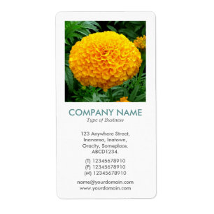 Etiqueta V Square Photo - Chrysanthemum II