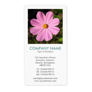 Etiqueta V Square Photo - Cosmos rosado