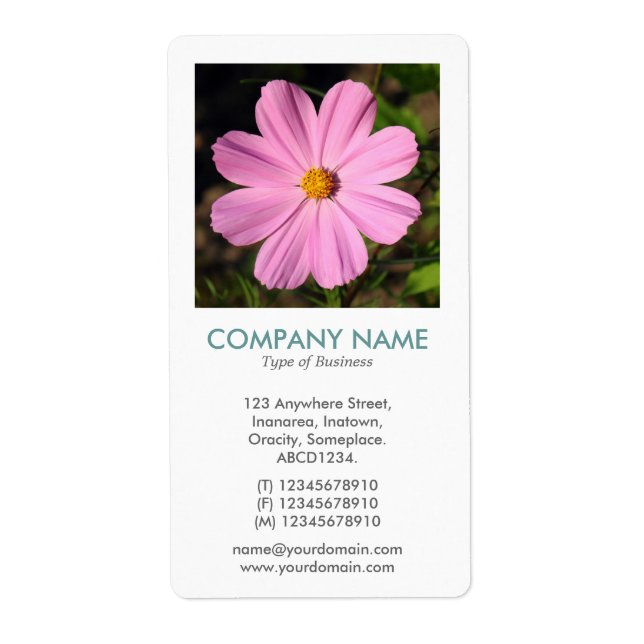 Etiqueta V Square Photo - Cosmos rosado (Frente)