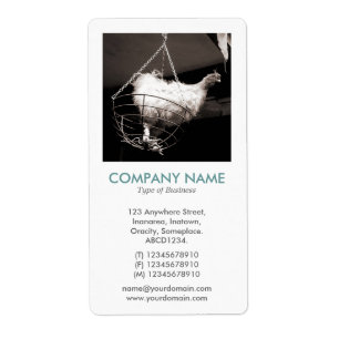 Etiqueta V Square Photo - Pollo en una canasta