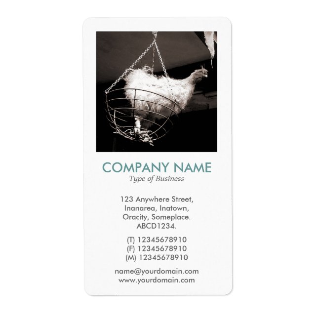 Etiqueta V Square Photo - Pollo en una canasta (Frente)