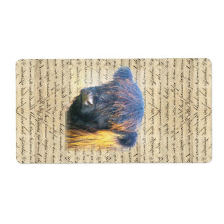 Etiqueta Vaca Highland