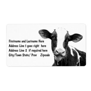 Etiqueta Vaca lechera - becerro blanco y negro de la