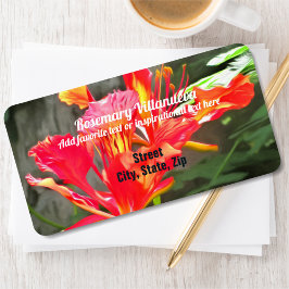 Etiqueta Vallarta Flaming Beauty 1583 Dirección