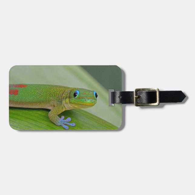 etiqueta verde del equipaje del taro del gecko (Frente Horizontal)