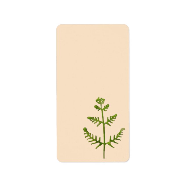 Etiqueta verde primavera (Frente)