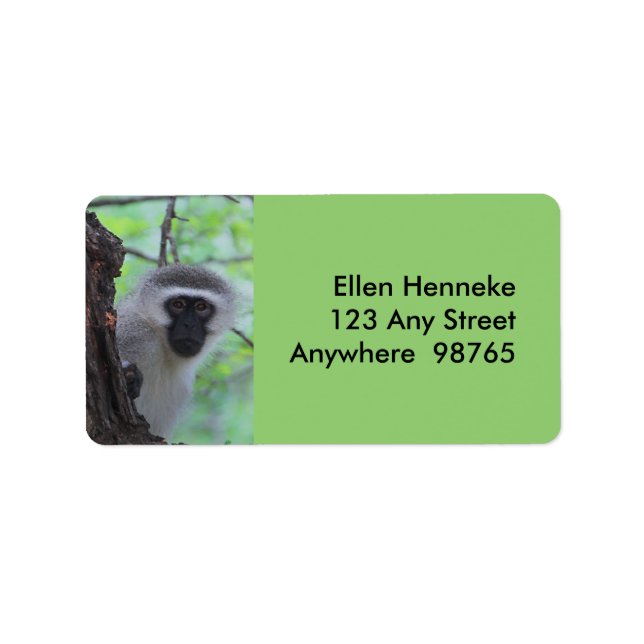 Etiqueta Vervet Monkey (Frente)
