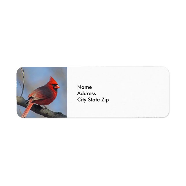 Etiqueta Vida silvestre del Cardenal Rojo bonito (Frente)